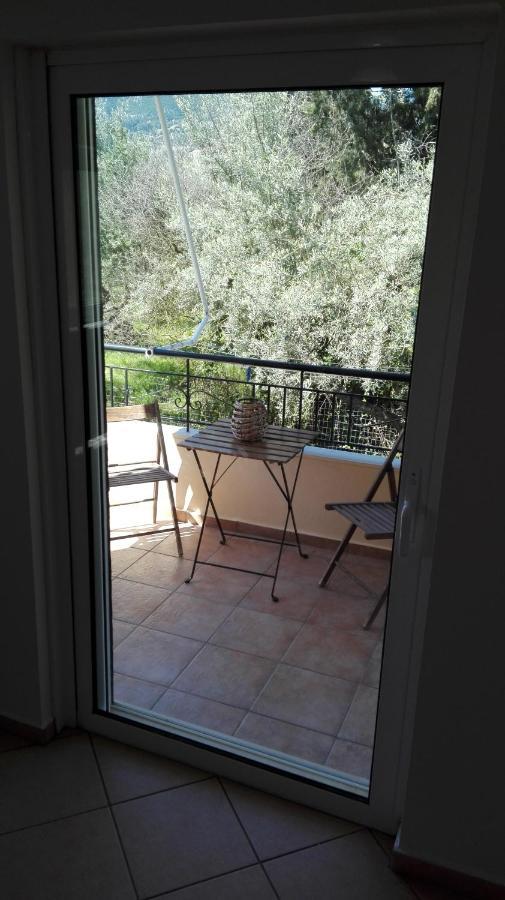 Olivo * Nydri (Lefkada)