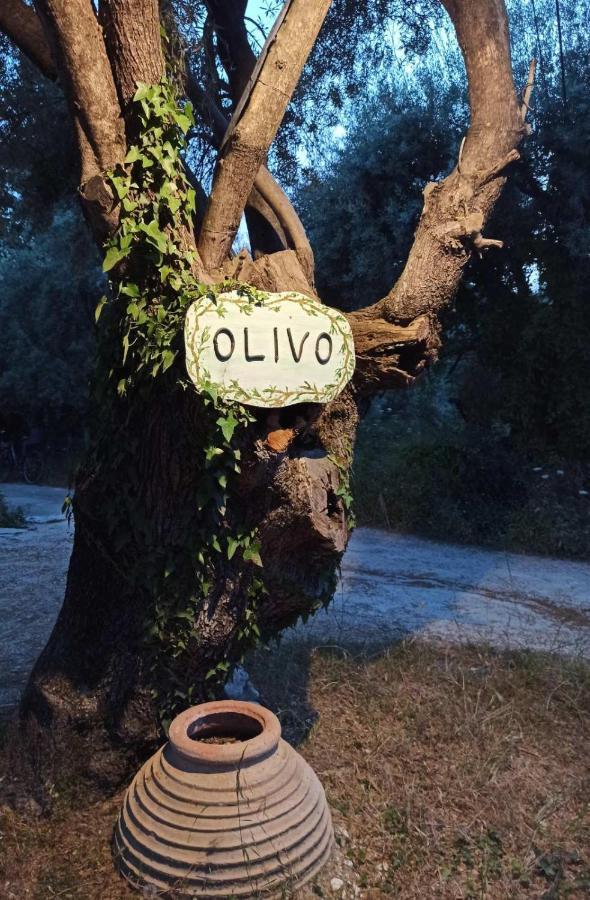 Olivo Apartment *