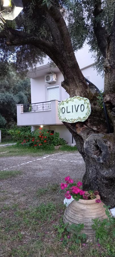 Olivo * Nydri (Lefkada)
