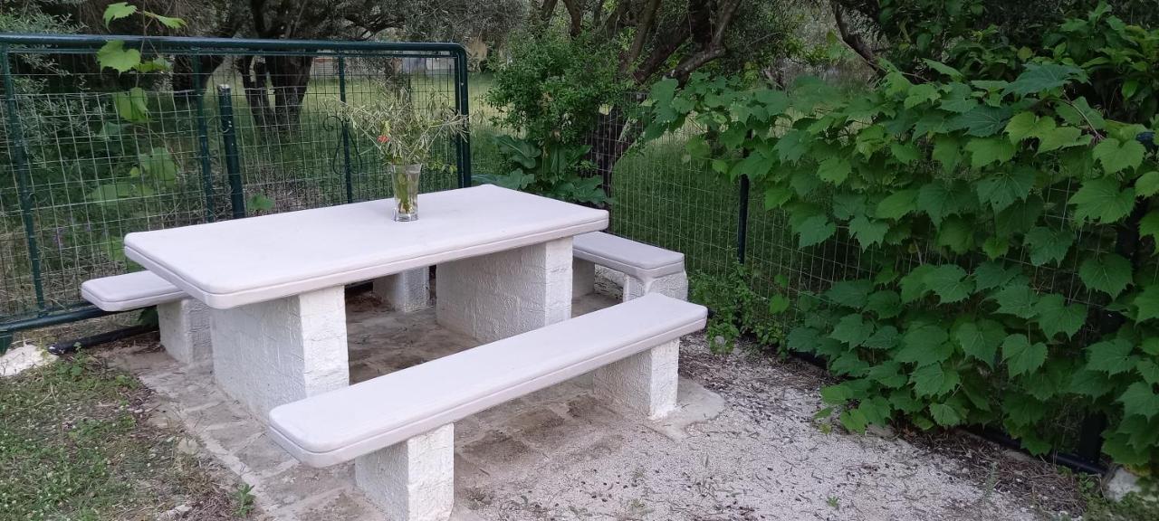 Olivo
