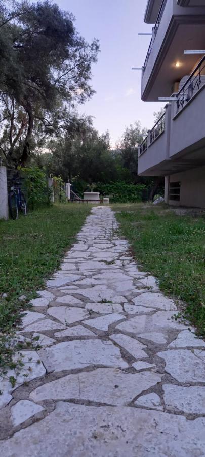 Olivo Nydri (Lefkada)